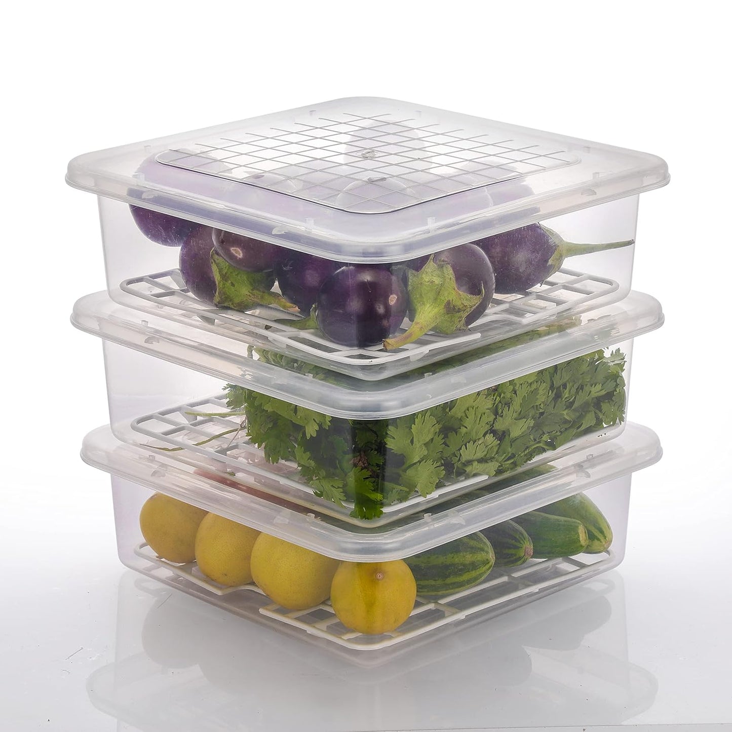 Fridge Storage Boxes Fridge Organizer for Fish, Meat, Vegetables, Fruits (2500ML)